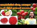 വീട്ടിൽ ബേക്കറി ചെറി എങ്ങനെ ഉണ്ടാക്കാം how to make bakery cherry in home