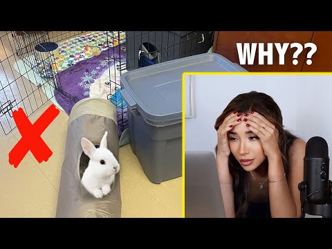 REACTING TO OUR SUBSCRIBERS RABBIT HABITATS!