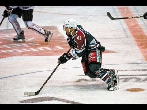Starbulls Rosenheim - Dresdner Eislöwen: Die Tore