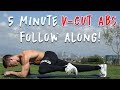 V Shred | 5 Minute V-Cut Abs Workout at Home