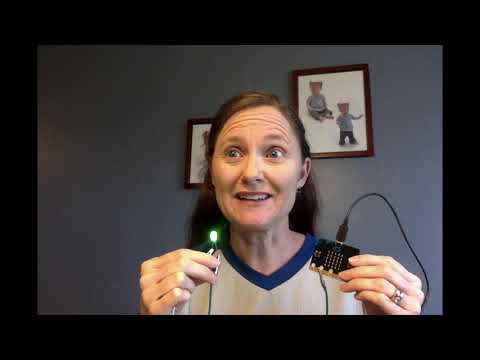 Fast and Slow Blinking Light on a Micro:bit