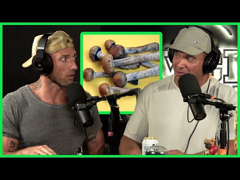 Use Psychedelics to Become More Present