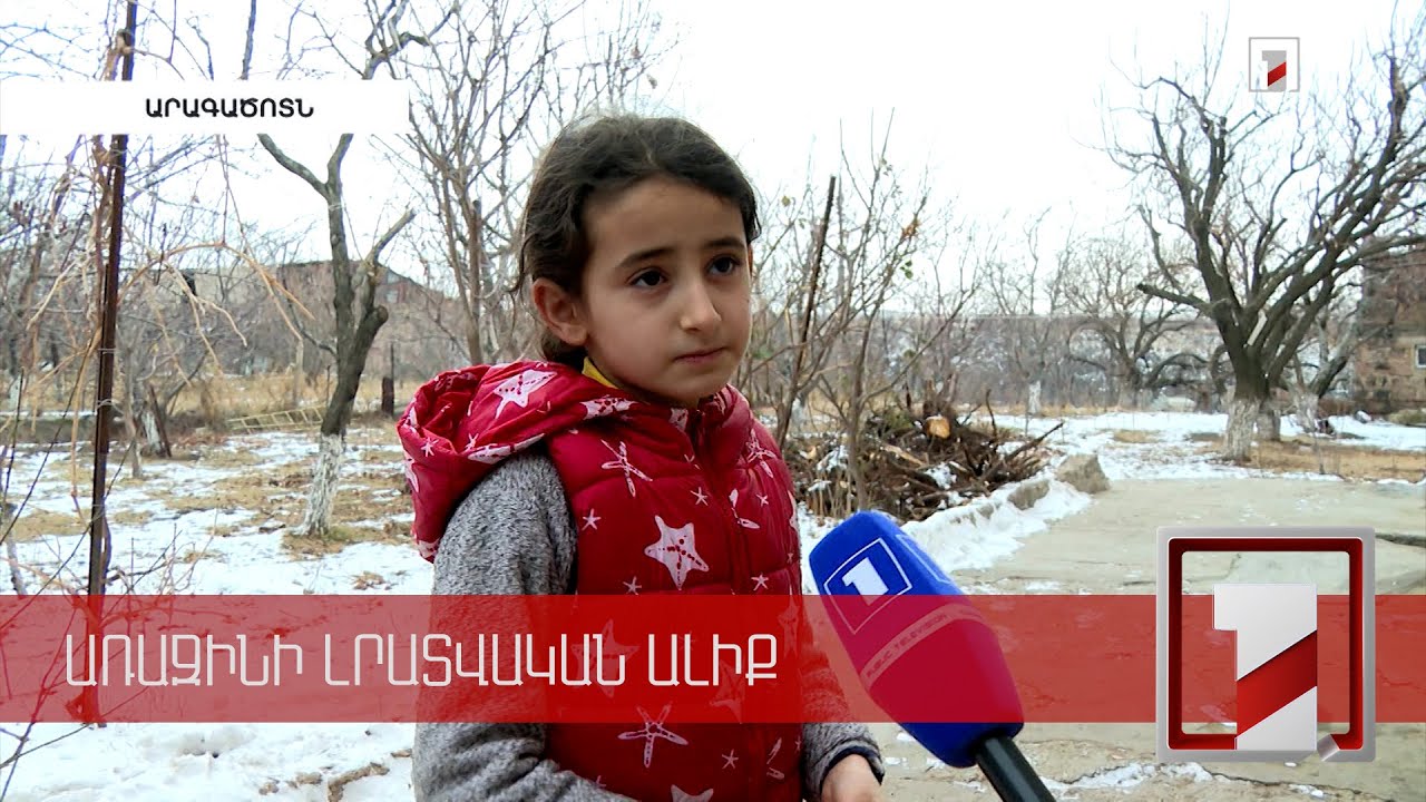 Գորշ արջի քոթոթը՝ թակարդում. Օհանավանի դեպքն ու շրջակա միջավայրի նախարարության արձագանքը