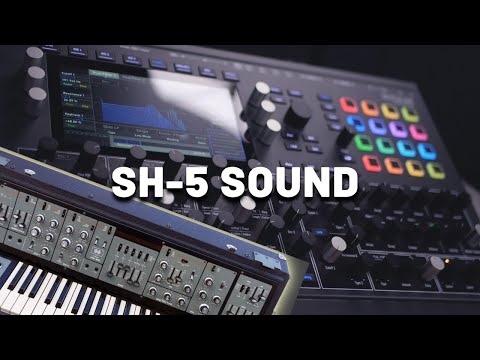 Roland SH-5 Sound with Waldorf Iridium (No Talking)