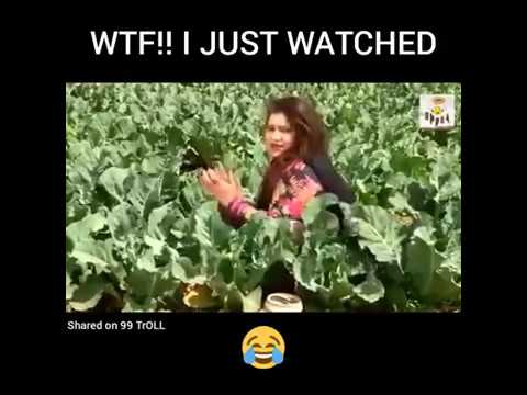 download lagu mp3 mp4 Fuck In Field, download lagu Fuck In Field gratis, unduh video klip Fuck In Field