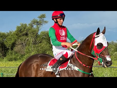 Sadam vs Leon XIV (Hipico el Monumental - Atahona - Tucumán
