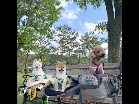 sunflower (feat.천수민) - Ludwig