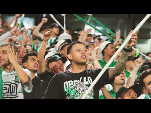 "Con esta tu hinchada de siempre " Barra: Los del Sur &bull; Club: Atlético Nacional &bull; País: Colombia