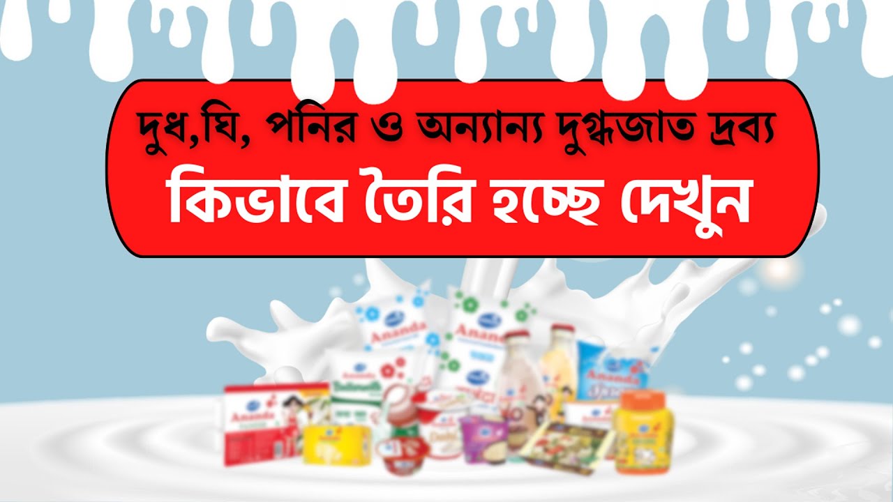 Milk Processing Plant | How Your Favorite Dairy Products Are Made