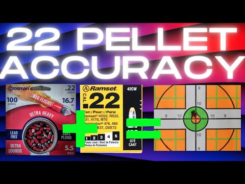 Survival 22 Pellet + Ramset are they accurate?