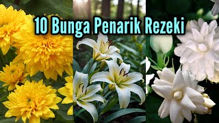 Download lagu More Than Just Beautiful!! Here Are 10 Flowering Plants That Bring Good Luck and Prosperity mp3