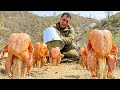 A Whole Chicken Fried Under A Bucket An Unusual Way To Prepare A Crispy Dinner