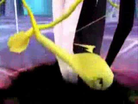 Final Fantasy III Cloud Of Darkness Tribute