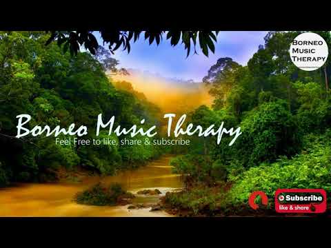 35 Minutes Instrumental Sape Music | Borneo Island Traditional Instrumen | Relaxing Music | Borneo