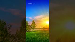 Musica rilassante per rilassare e calmare la mente | Musica della natura