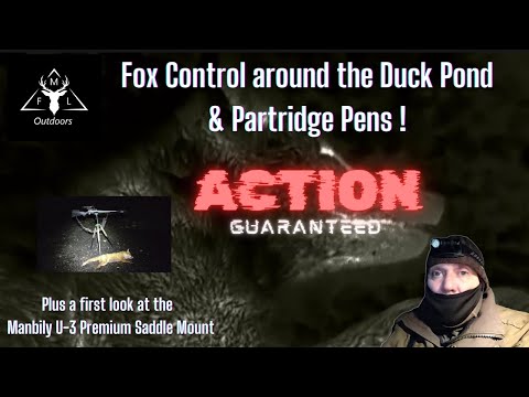 MFL Outdoors - Foxing around the duck pond and partridge pens || Review of the Manbily U-3 Mount