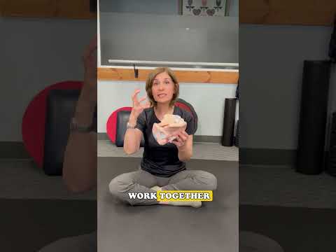 Can chronic constipation cause pelvic floor dysfunction?