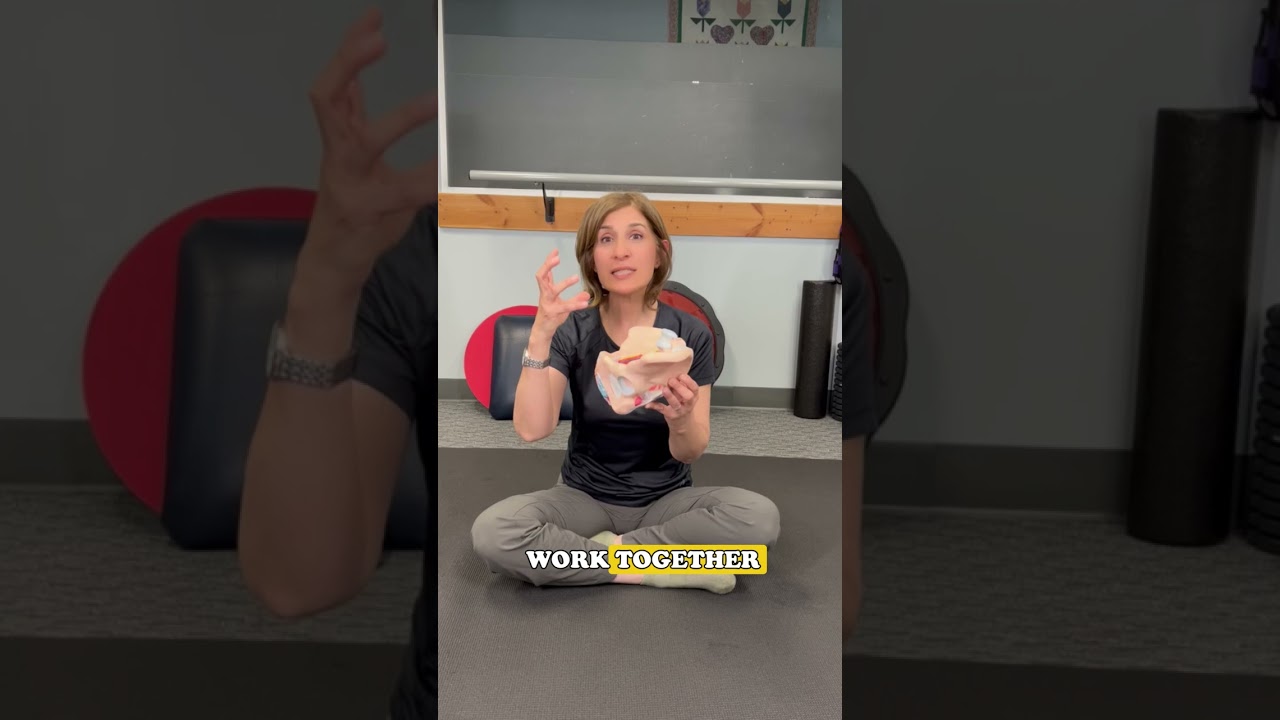 Can chronic constipation cause pelvic floor dysfunction?