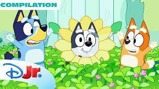 Bluey 3 FULL Episodes Compilation! 💙 | 22 Minutes |  @disneyjr