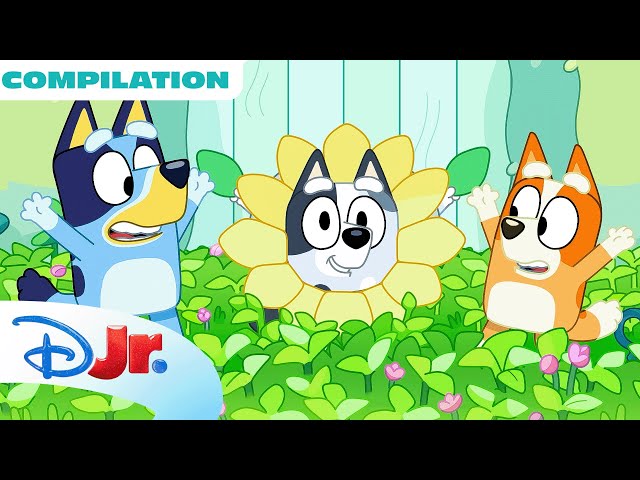 Bluey 3 FULL Episodes Compilation! 💙 | 22 Minutes |  @disneyjr