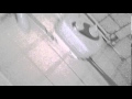 Shower Noise
