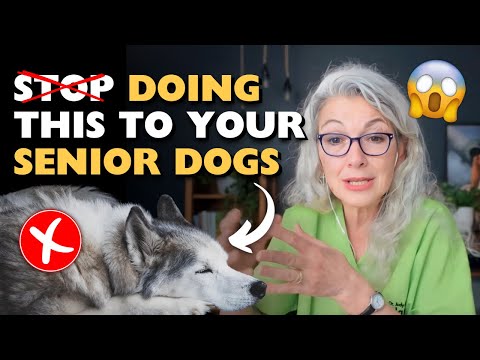 What Is The BEST Senior Dog Nutrition Advice?? Top TIPS & Myths BUSTED!