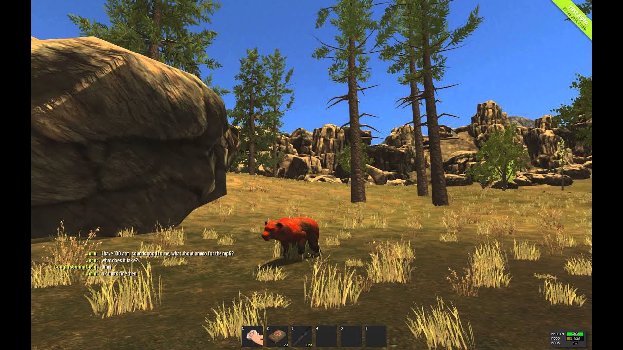 Rust - Mystical Rad Bear