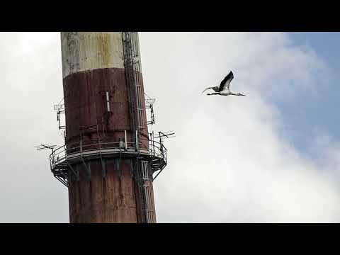 10.Egzekucyjny PLuton #Bu #Młody #Yot - PRAWO DO WOLNOŚCI gość. Michos aka Lose Mind