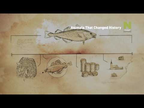 Animals That Changed History