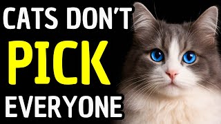 The Real Reason Cats Choose Their Favorite Person