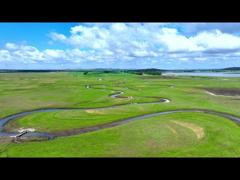 Relâmpagos fluindo pelas pastagens verdes, cidade de Zhangjiakou, província de Hebei