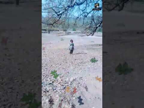 /storage/emulated/0/Photo Slideshow - Opals Apps/Slideshow/Photoslideshow-130421-120843.mp4