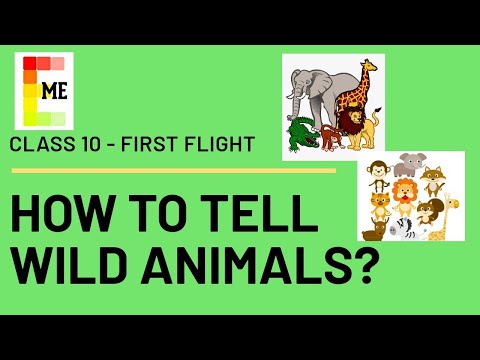 How to Tell Wild Animals? Video Lecture | Study Crash Course: Class 10 - Class 10 | Best Video for Class 10 How to Tell Wild Animals? Video Lecture | Study Crash Course: Class 10 - Class 10 | Best Video for Class 10