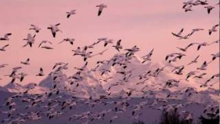 Jasper Forks-River Flows In You(Single MG Mix)