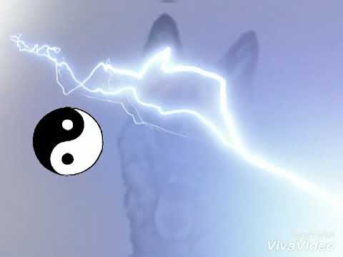 Ah les mecs c les vacances