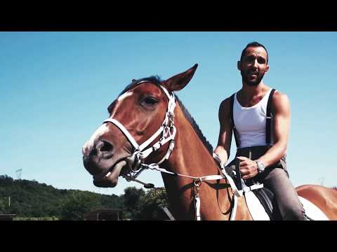 Giantheo - Conchiglie (official video)