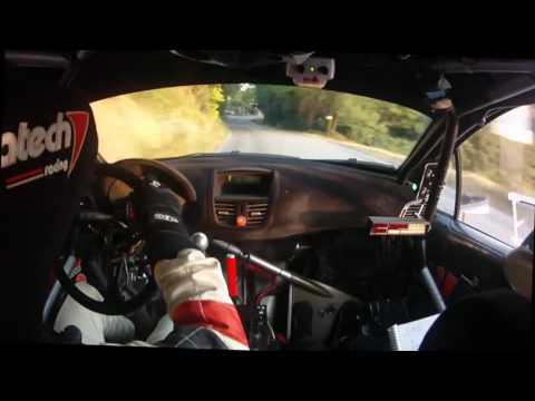 Cameracar - Rally citta' di Modena 2016 - MILIOLI M. - MALETTI S. - 207 S2000 - PS1 MONTEBARANZONE