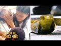8 Anyos Na Batang Natuklaw Ng Makamandag Na Cobra Ipinag Pray Over Kapuso Mo Jessica Soho