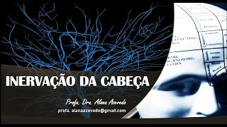 Inervação da cabeça: Nervo trigêmeo