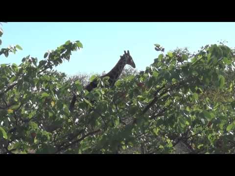 Drifters 24 Day Overland Adventure Tour