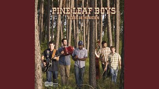 Pine Leaf Boys Acordes