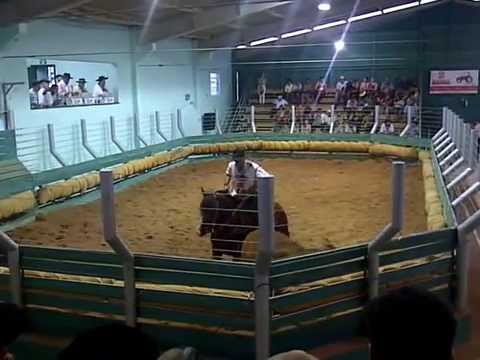 Imperador de Sao Cristovão - Credencidadora de São Lourenço do Sul