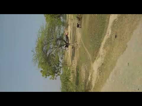 Walkthrough Walkthrough