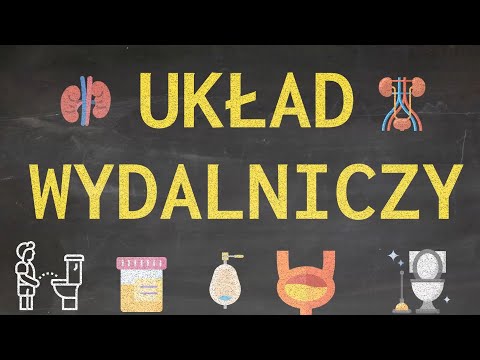 Układ wydalniczy, ani on straszny, ani trudny, a na pewno ciekawy. Oto film o wydalaniu