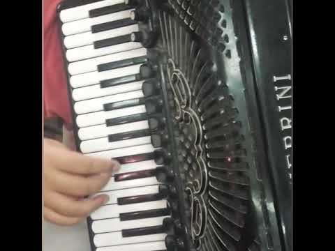 Bojan Jovanović harmonika