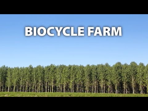 Poplar Farm Lifecycle