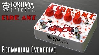 Video thumbnail for Tortuga Effects: Fire Ant Germanium Overdrive by Tortuga Television