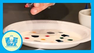 Science Station: Honor