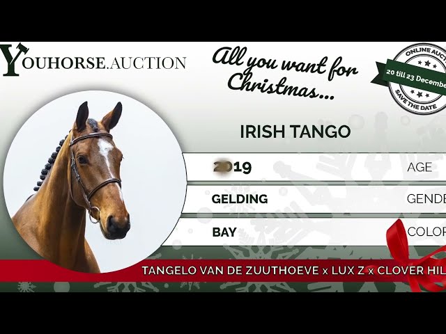 Irish Tango showvideo indoor