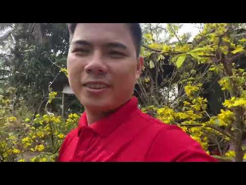 Chúc mừng năm mới 2023! Mừng xuân quý mão 2023